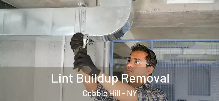 Lint Buildup Removal Cobble Hill - NY