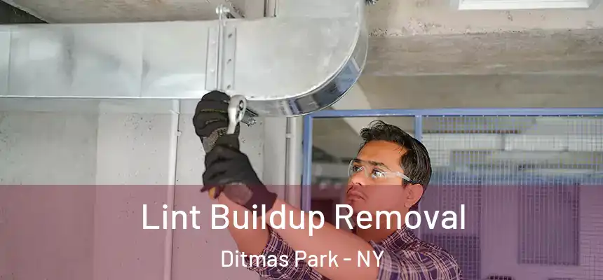  Lint Buildup Removal Ditmas Park - NY