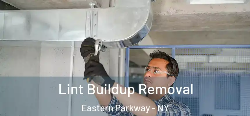 Lint Buildup Removal Eastern Parkway - NY