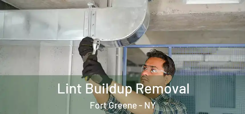 Lint Buildup Removal Fort Greene - NY
