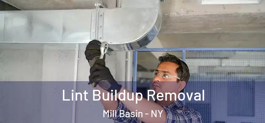  Lint Buildup Removal Mill Basin - NY