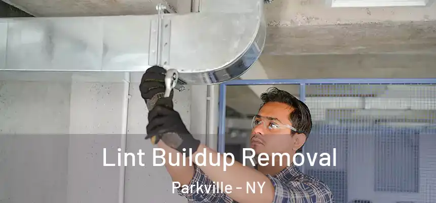 Lint Buildup Removal Parkville - NY