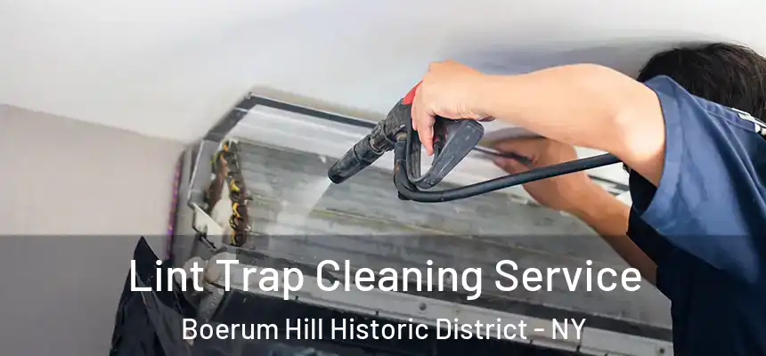 Lint Trap Cleaning Service Boerum Hill Historic District - NY