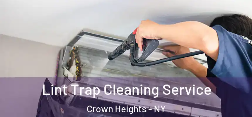 Lint Trap Cleaning Service Crown Heights - NY