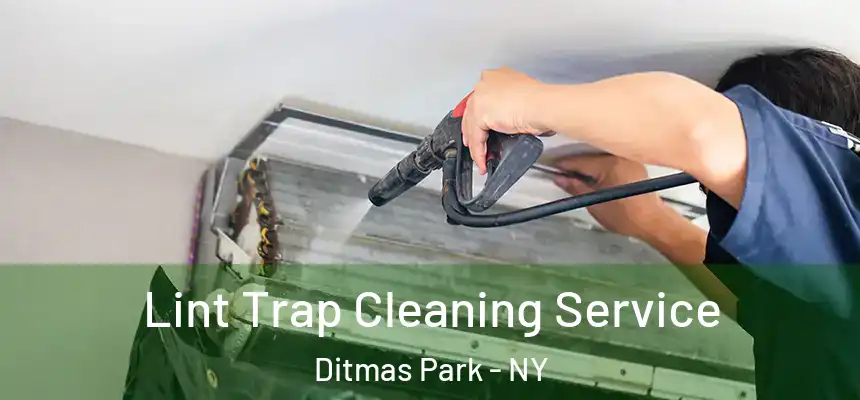 Lint Trap Cleaning Service Ditmas Park - NY