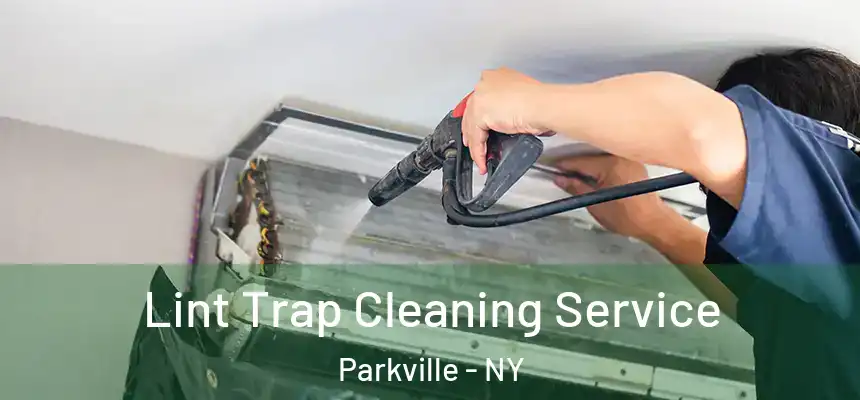 Lint Trap Cleaning Service Parkville - NY