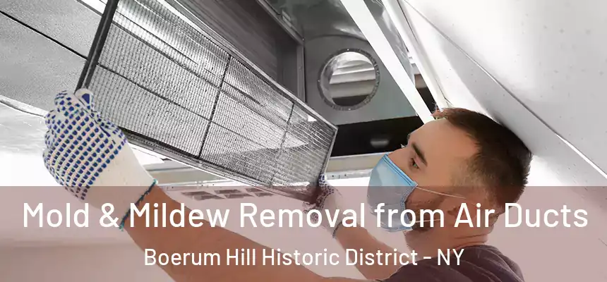 Mold & Mildew Removal from Air Ducts Boerum Hill Historic District - NY