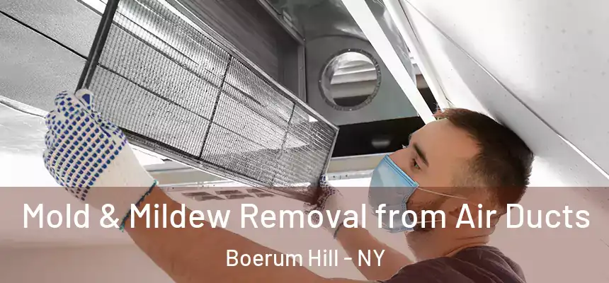 Mold & Mildew Removal from Air Ducts Boerum Hill - NY
