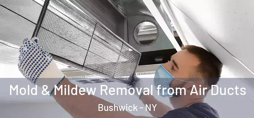 Mold & Mildew Removal from Air Ducts Bushwick - NY