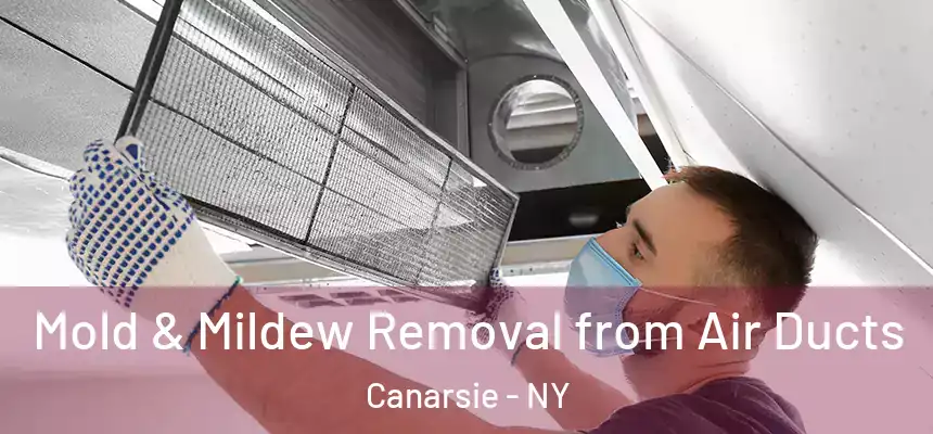 Mold & Mildew Removal from Air Ducts Canarsie - NY