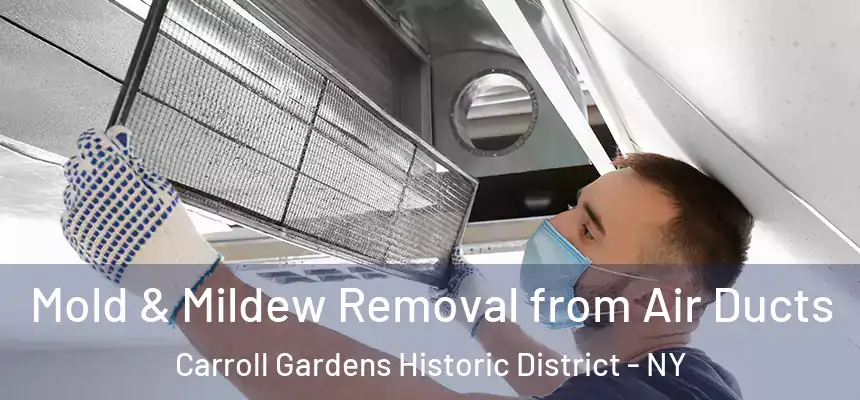Mold & Mildew Removal from Air Ducts Carroll Gardens Historic District - NY