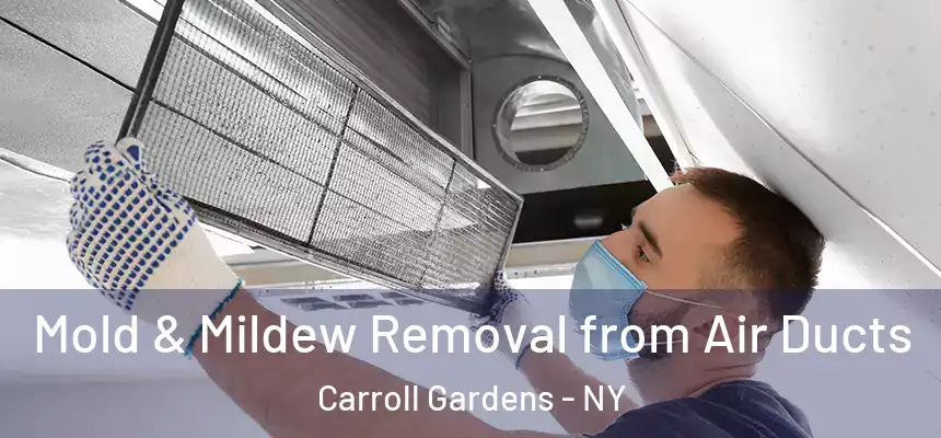 Mold & Mildew Removal from Air Ducts Carroll Gardens - NY