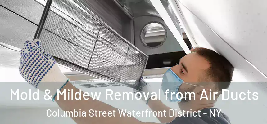 Mold & Mildew Removal from Air Ducts Columbia Street Waterfront District - NY