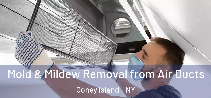 Mold & Mildew Removal from Air Ducts Coney Island - NY
