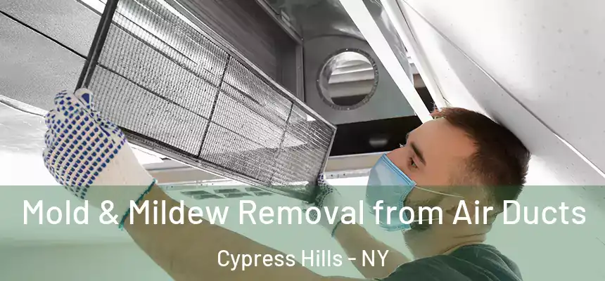 Mold & Mildew Removal from Air Ducts Cypress Hills - NY