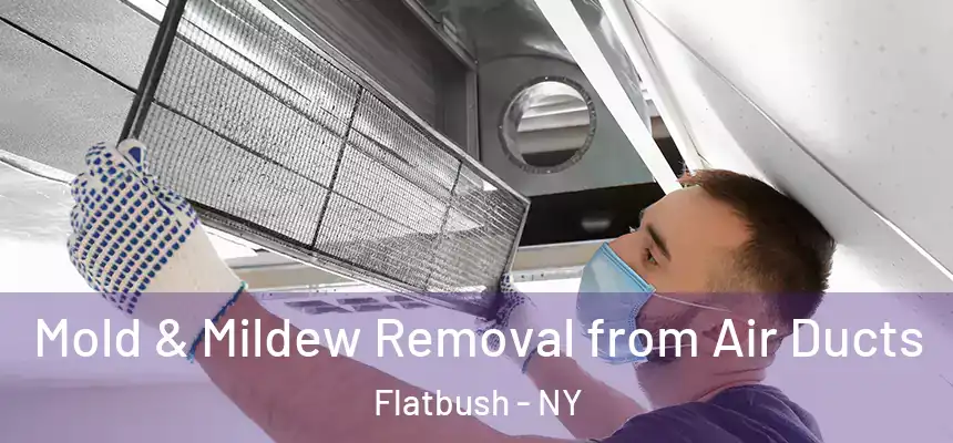 Mold & Mildew Removal from Air Ducts Flatbush - NY