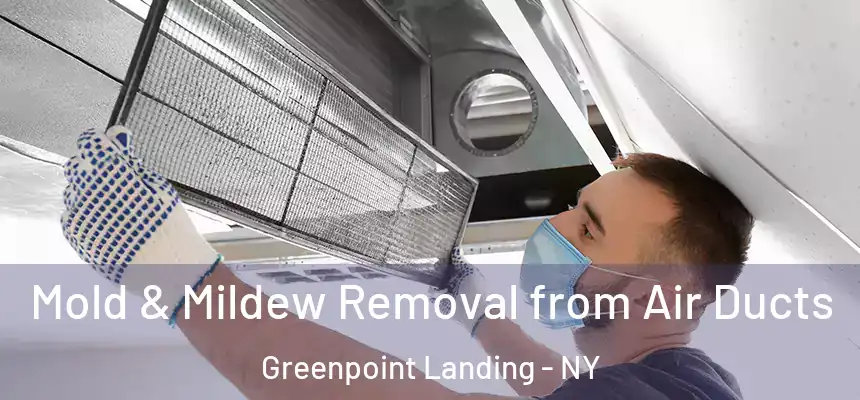 Mold & Mildew Removal from Air Ducts Greenpoint Landing - NY