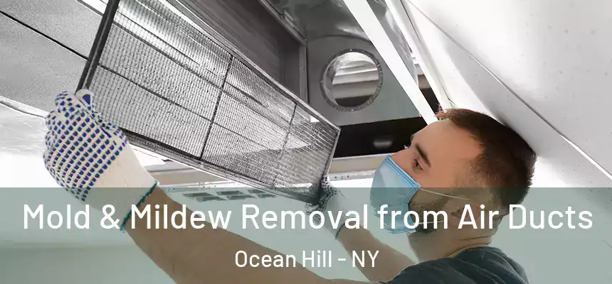 Mold & Mildew Removal from Air Ducts Ocean Hill - NY