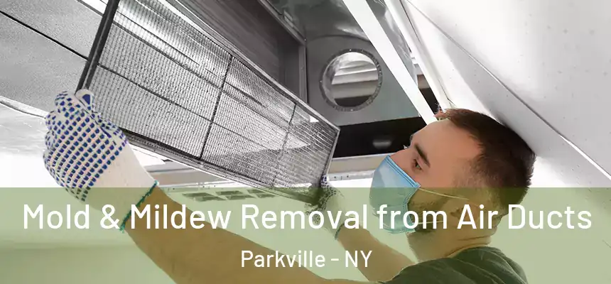 Mold & Mildew Removal from Air Ducts Parkville - NY