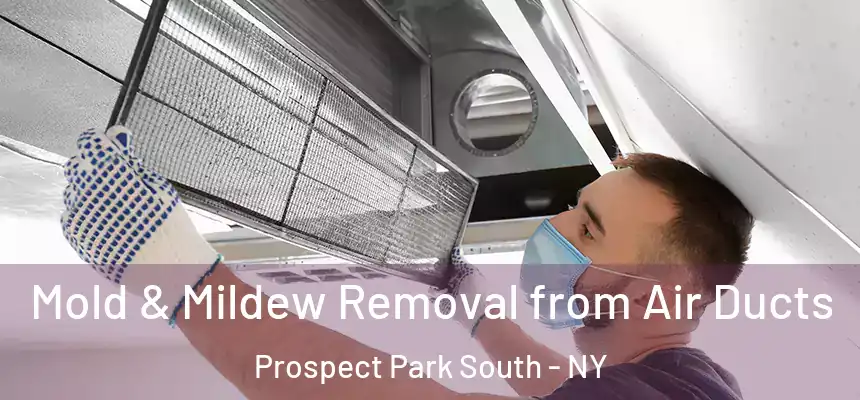 Mold & Mildew Removal from Air Ducts Prospect Park South - NY