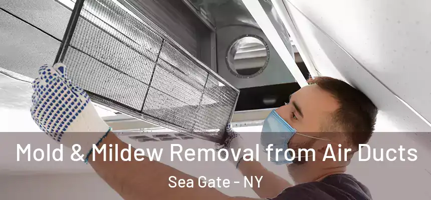 Mold & Mildew Removal from Air Ducts Sea Gate - NY