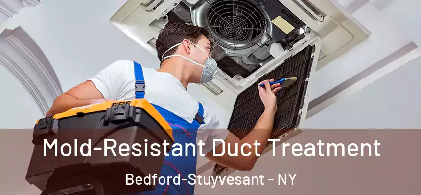 Mold-Resistant Duct Treatment Bedford-Stuyvesant - NY