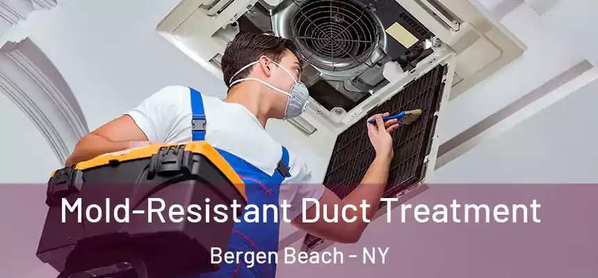 Mold-Resistant Duct Treatment Bergen Beach - NY