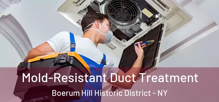 Mold-Resistant Duct Treatment Boerum Hill Historic District - NY