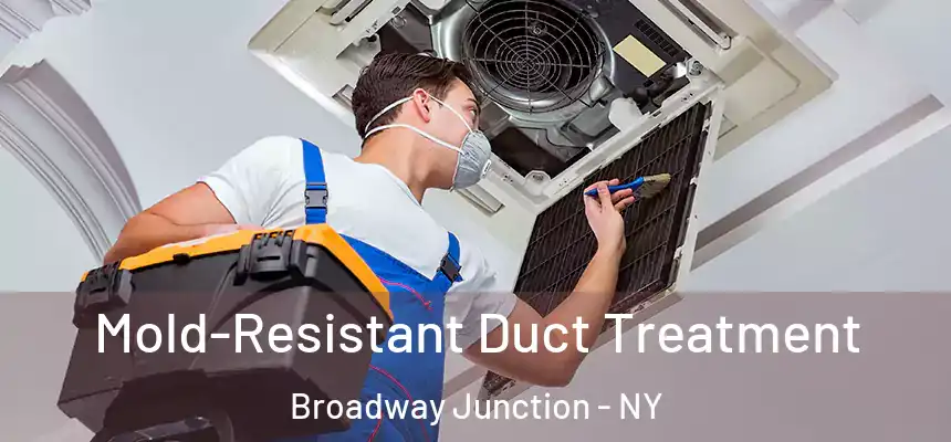 Mold-Resistant Duct Treatment Broadway Junction - NY