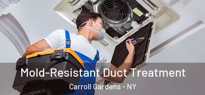 Mold-Resistant Duct Treatment Carroll Gardens - NY