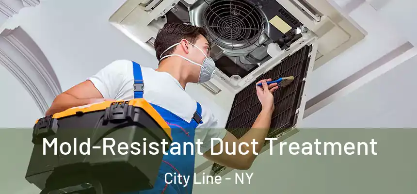 Mold-Resistant Duct Treatment City Line - NY
