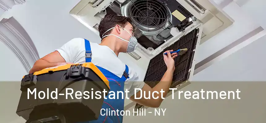 Mold-Resistant Duct Treatment Clinton Hill - NY