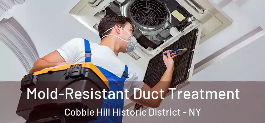 Mold-Resistant Duct Treatment Cobble Hill Historic District - NY