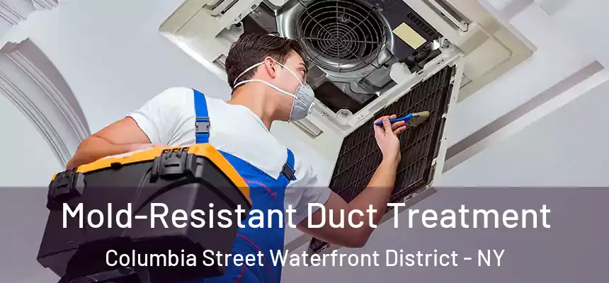 Mold-Resistant Duct Treatment Columbia Street Waterfront District - NY