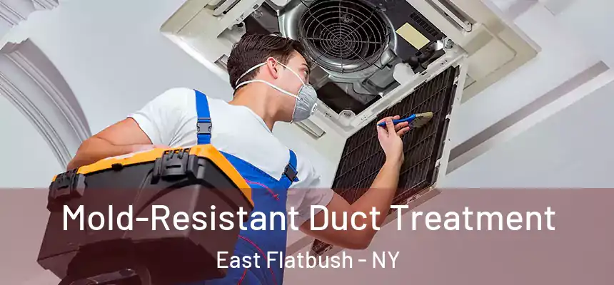  Mold-Resistant Duct Treatment East Flatbush - NY