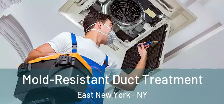 Mold-Resistant Duct Treatment East New York - NY