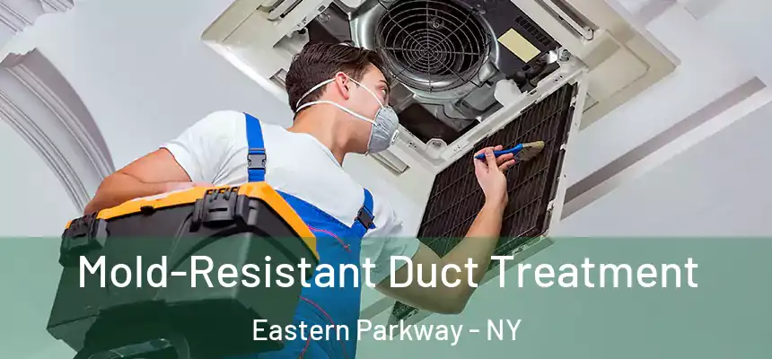 Mold-Resistant Duct Treatment Eastern Parkway - NY