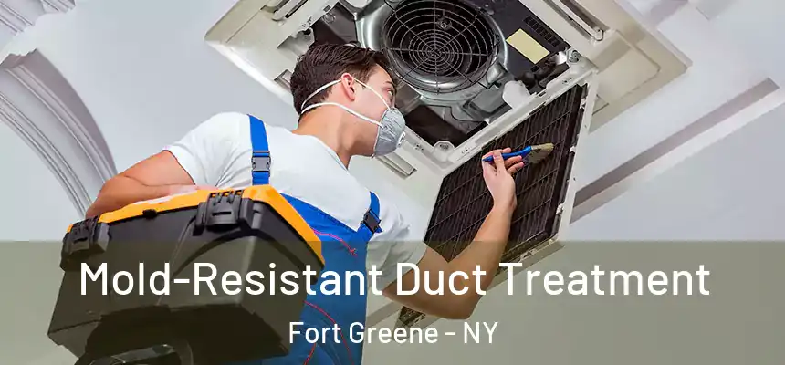 Mold-Resistant Duct Treatment Fort Greene - NY