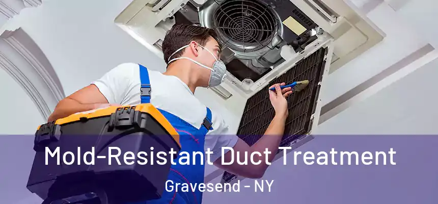 Mold-Resistant Duct Treatment Gravesend - NY