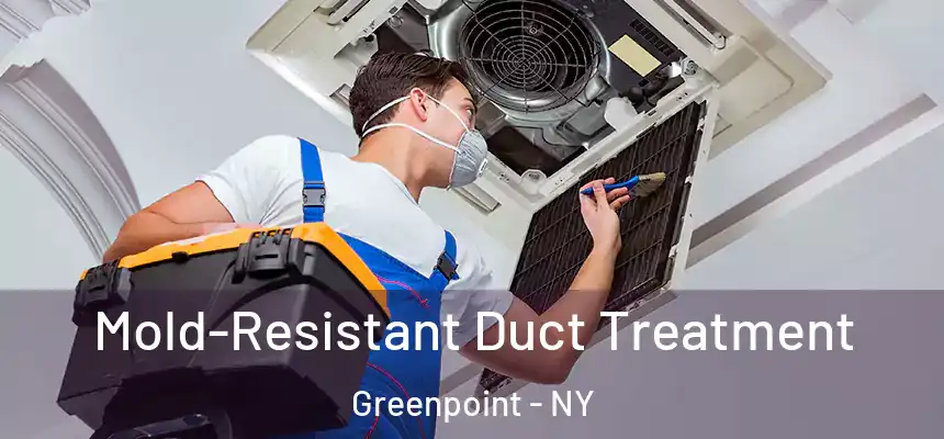 Mold-Resistant Duct Treatment Greenpoint - NY