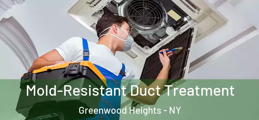 Mold-Resistant Duct Treatment Greenwood Heights - NY