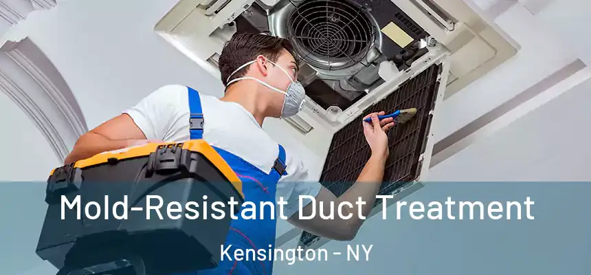 Mold-Resistant Duct Treatment Kensington - NY