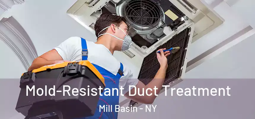 Mold-Resistant Duct Treatment Mill Basin - NY