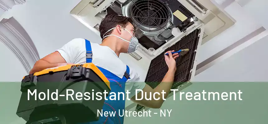 Mold-Resistant Duct Treatment New Utrecht - NY