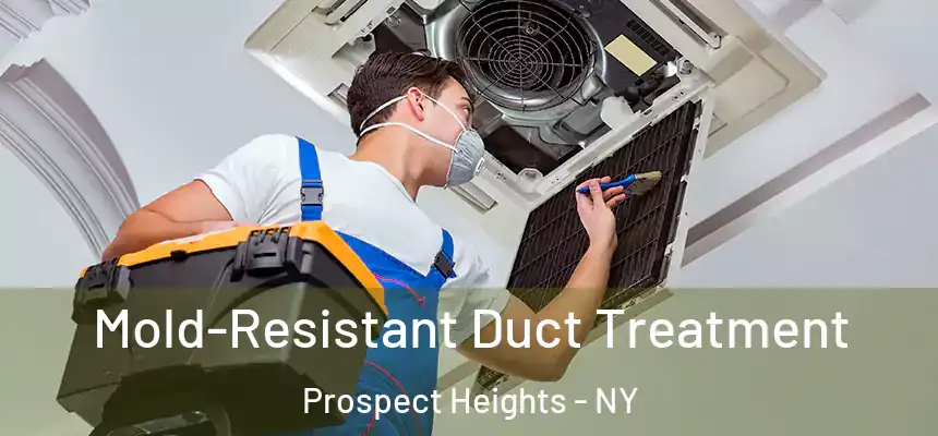 Mold-Resistant Duct Treatment Prospect Heights - NY