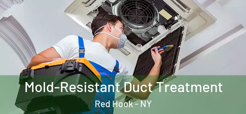 Mold-Resistant Duct Treatment Red Hook - NY