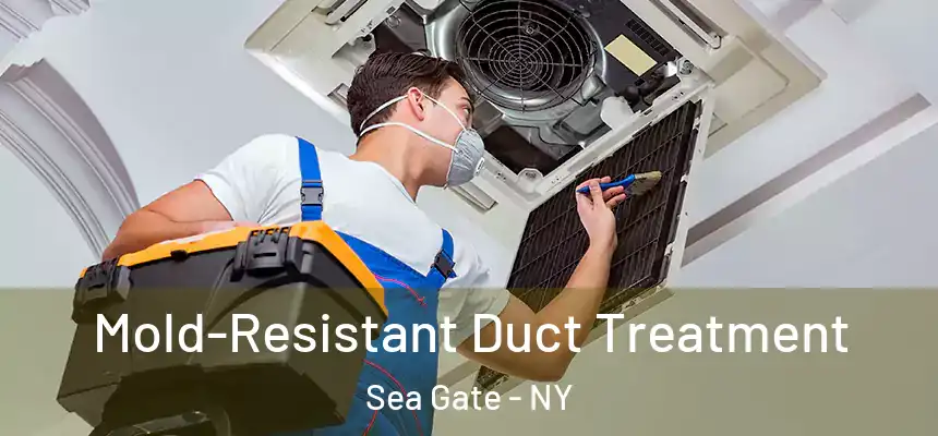 Mold-Resistant Duct Treatment Sea Gate - NY