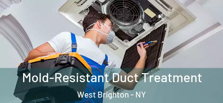  Mold-Resistant Duct Treatment West Brighton - NY