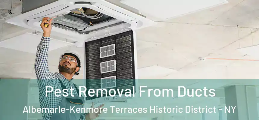 Pest Removal From Ducts Albemarle-Kenmore Terraces Historic District - NY