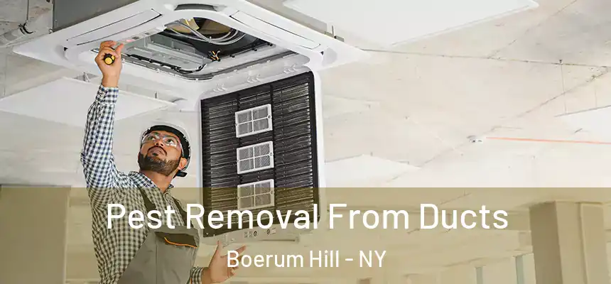 Pest Removal From Ducts Boerum Hill - NY